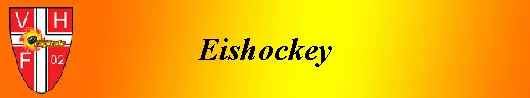 Eishockey